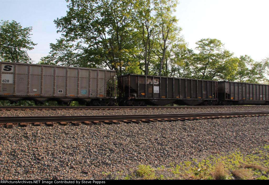 NS 10106